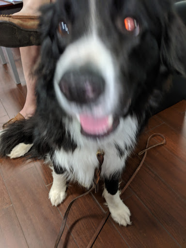 Subaru Dealer «Subaru of Dayton», reviews and photos, 995 Miamisburg Centerville Rd, Dayton, OH 45459, USA