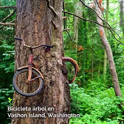 Vidéos Hébergement d'intérieur Cal Gasset 43412 Solivella