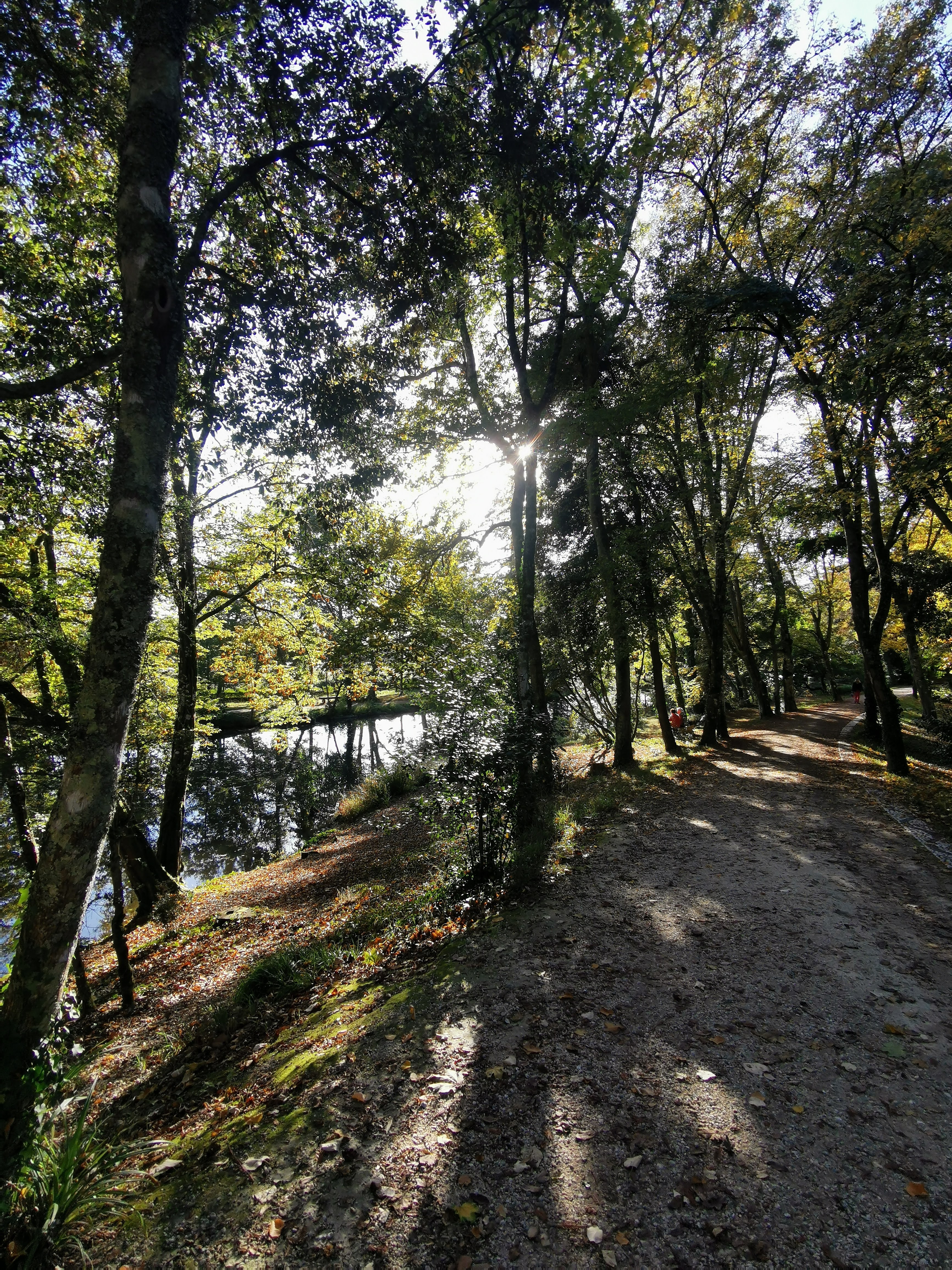 Photo n° 36 de l'avis de Alexandre.l fait le 27/10/2021 à 18:59