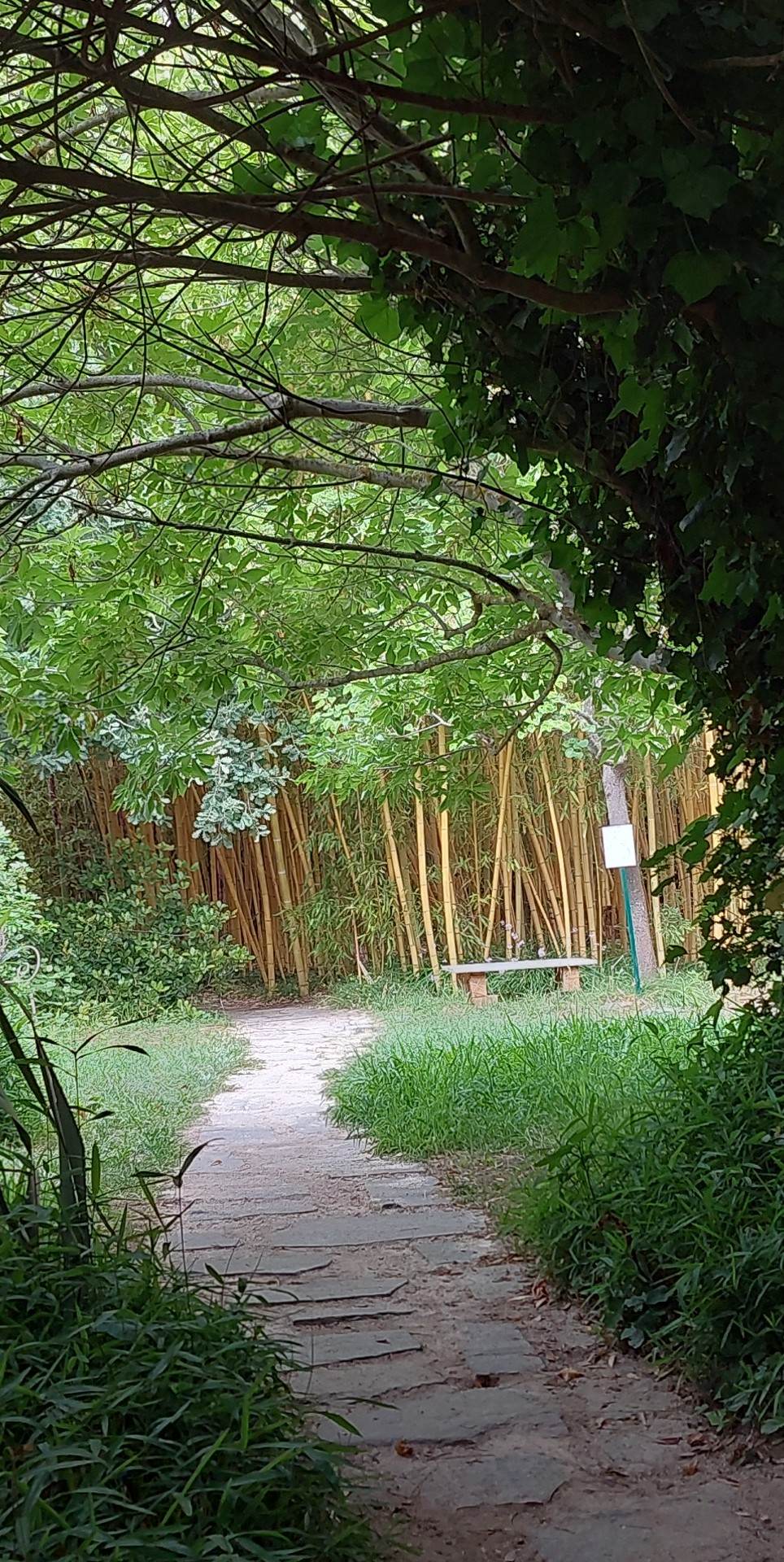 Photo n° 6 de l'avis de Didier.a fait le 22/06/2023 à 16:12