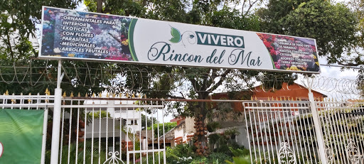 Vivero Rincon Del Mar