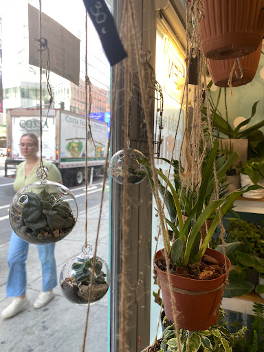 Florist «Chaba Florists», reviews and photos, 71 Stuart St, Boston, MA 02116, USA