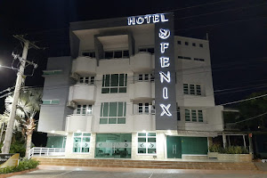 Hotel Fenix image