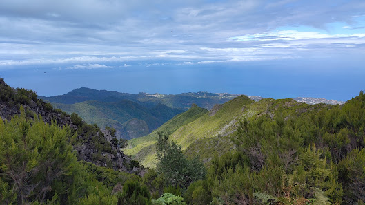 Madeira Trail 