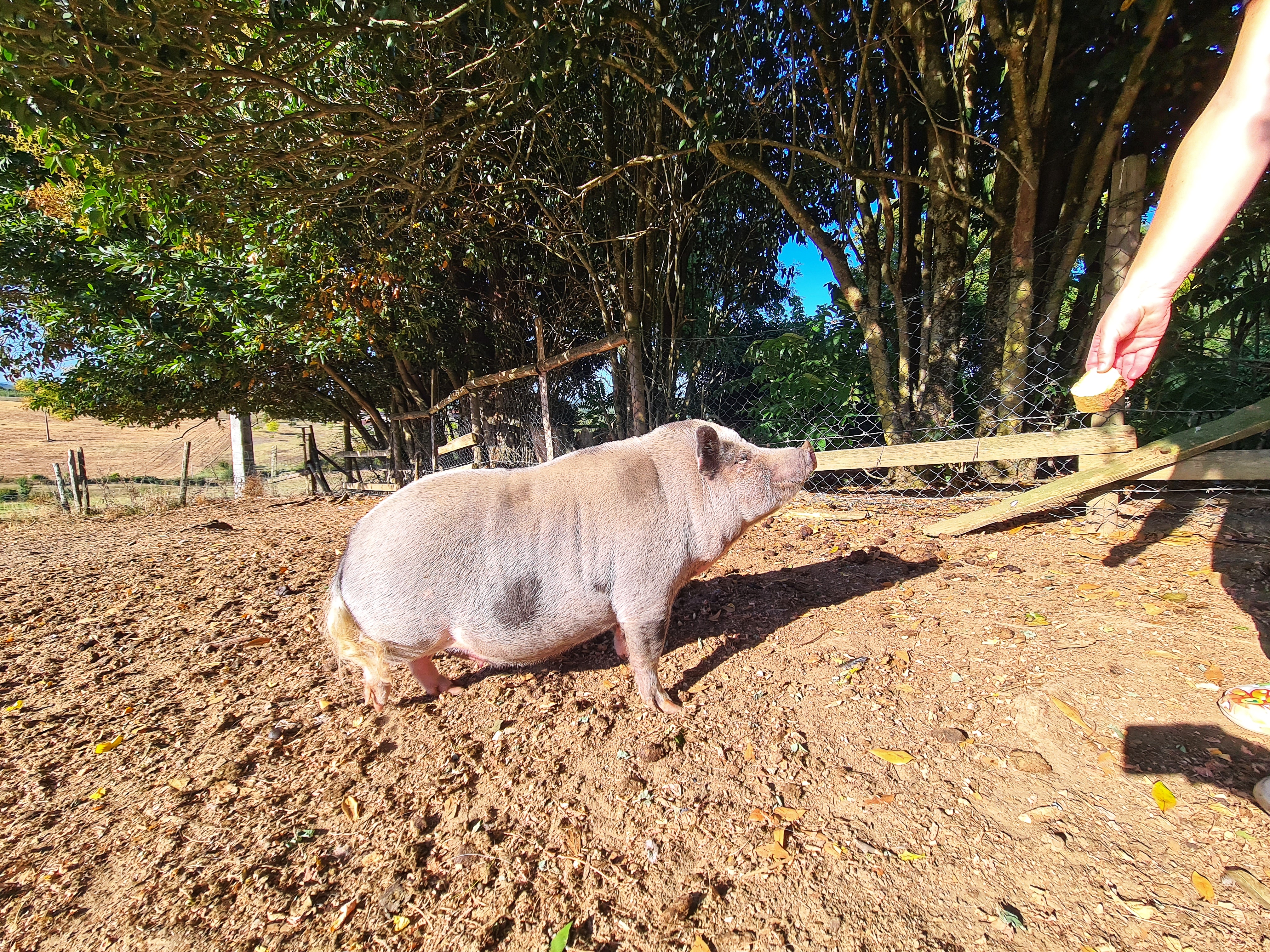 Photo n° 4 de l'avis de wilfried.o fait le 18/08/2023 à 15:48