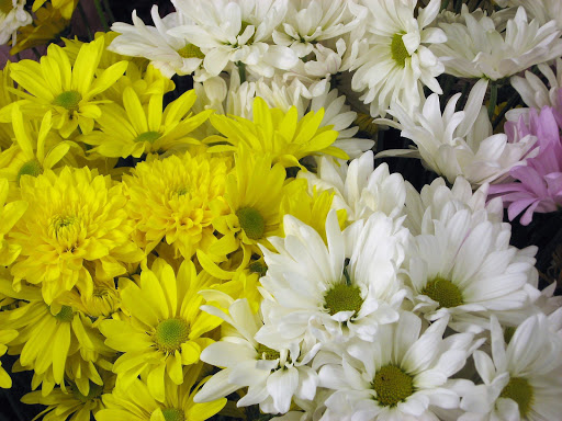 Florist «Best Wishes Floral», reviews and photos, 689 Winnetka Ave N, Golden Valley, MN 55427, USA