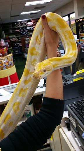 Pet Supply Store «Pet Supermarket», reviews and photos, 2924 13th St, St Cloud, FL 34769, USA