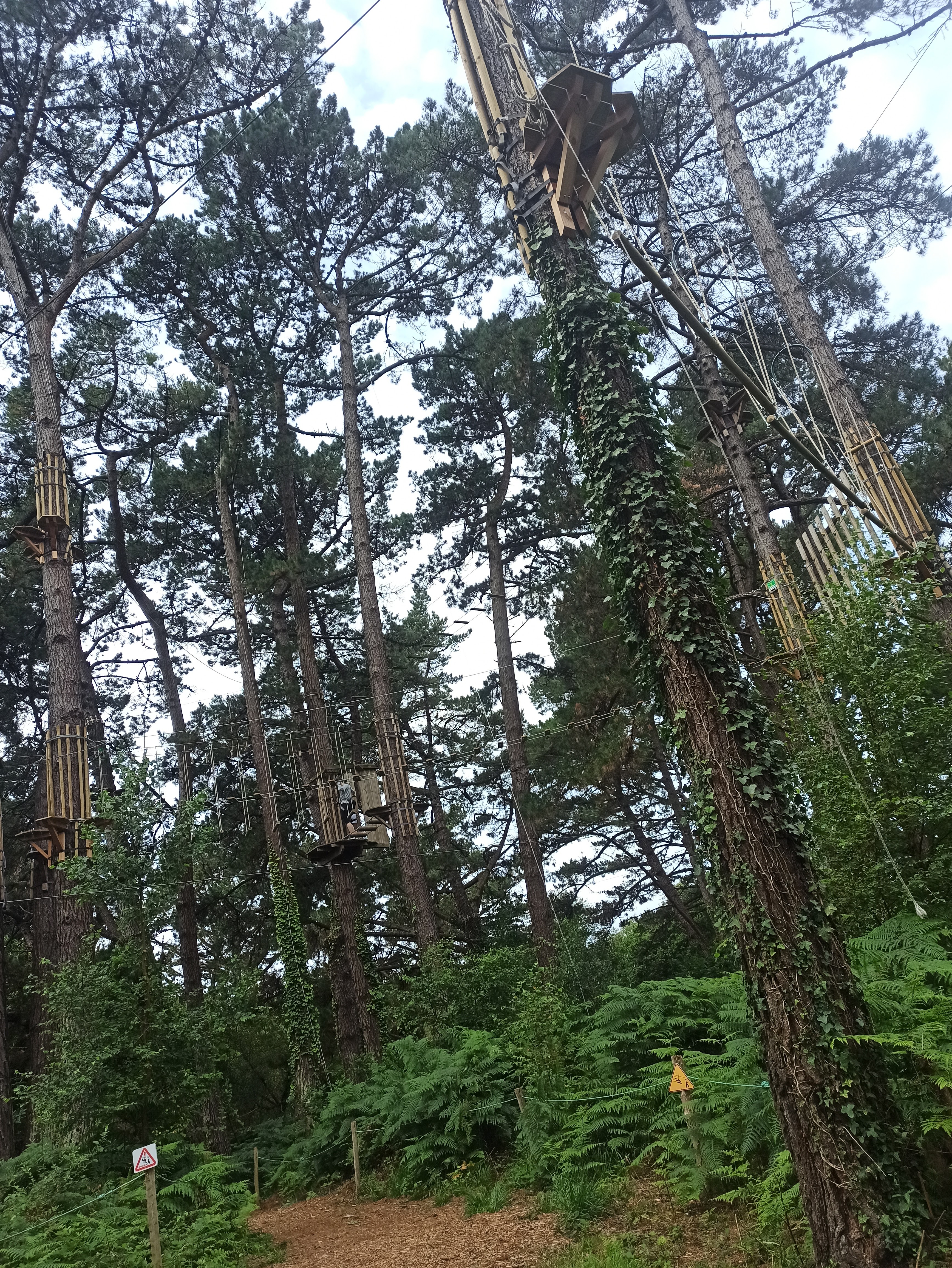 Photo n° 1 de l'avis de zéline.e fait le 22/07/2023 à 12:57