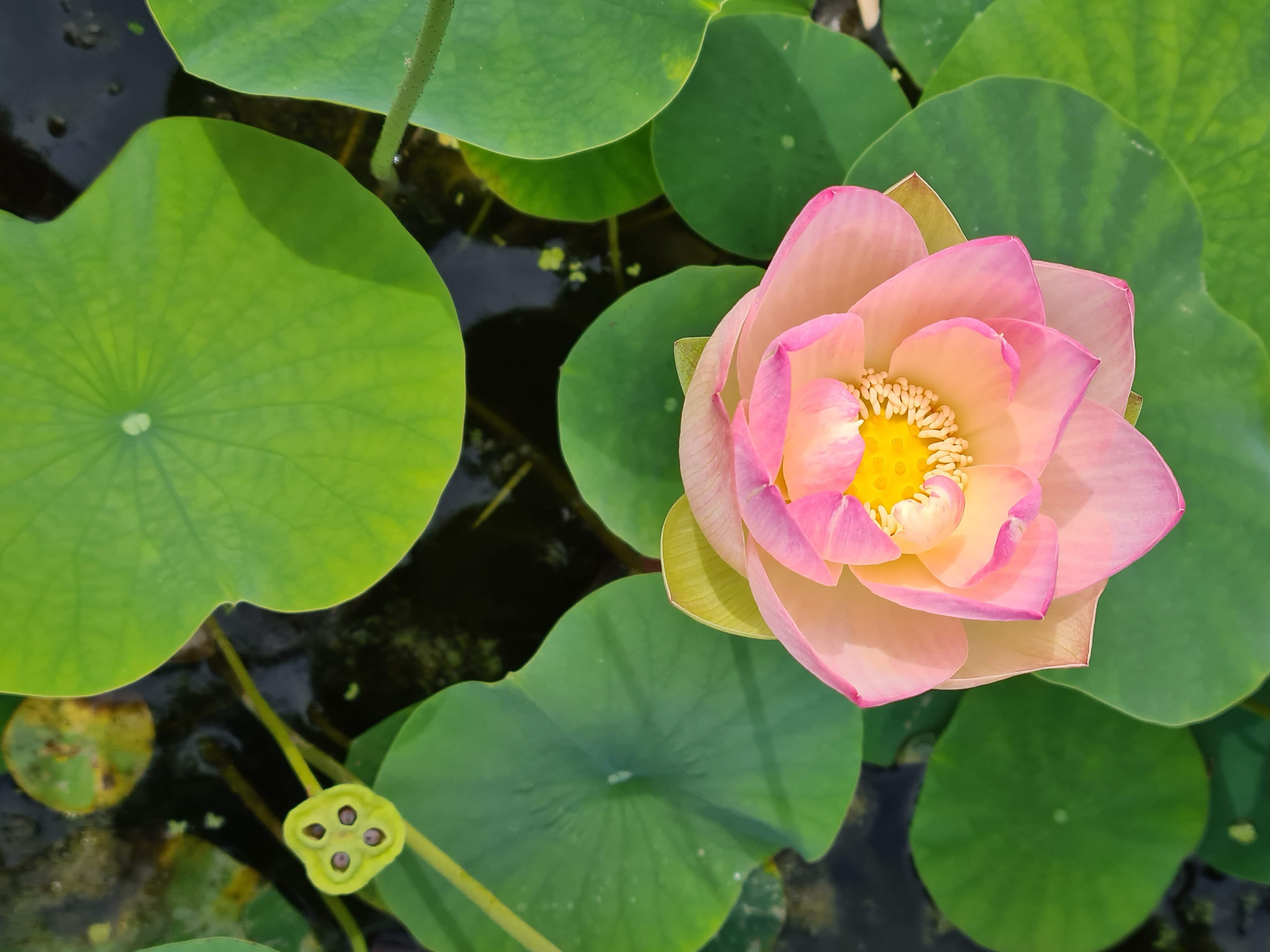 Photo n° 1 de l'avis de veronique.u fait le 14/07/2020 à 10:11