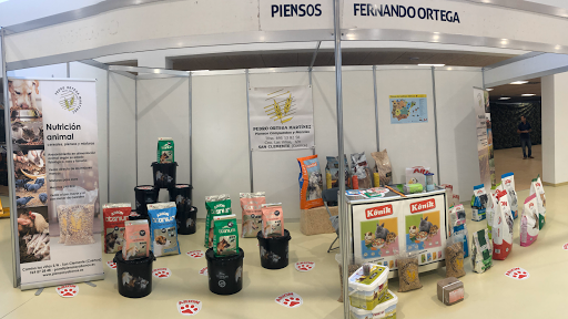 Pedro Ortega Martínez - San Clemente