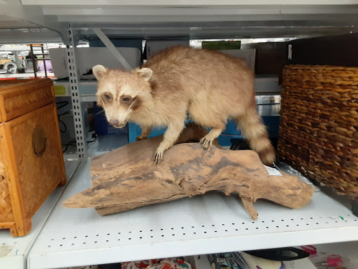 Thrift Store «Savers», reviews and photos