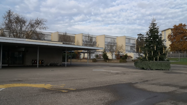 Rezensionen über École De Balexert in Lancy - Schule