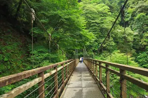 Harafudō Falls image