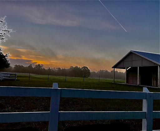 Golf Course «Harmony Golf Preserve», reviews and photos, 7252 5 Oaks Dr, St Cloud, FL 34773, USA