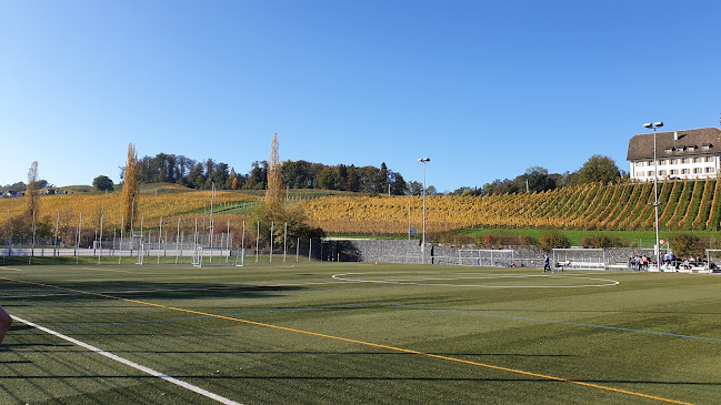 Rezensionen über Sportanlage Chrummen in Freienbach - Sportstätte