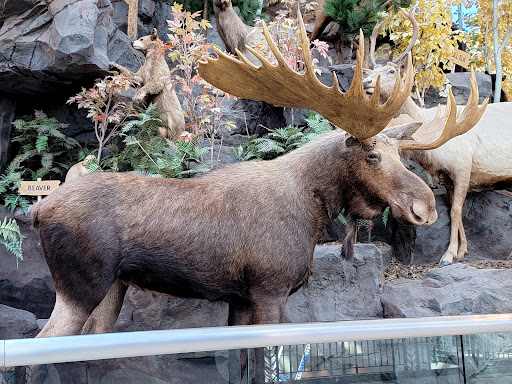 Sporting Goods Store «SCHEELS», reviews and photos, 1200 Scheels Drive, Sparks, NV 89434, USA