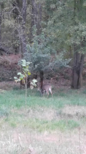 Golf Course «The Valley Links Course», reviews and photos, 8670 IN-56, French Lick, IN 47432, USA