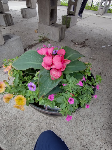 Pet Store «Teske Pet & Garden», reviews and photos, 2423 16th St, Moline, IL 61265, USA