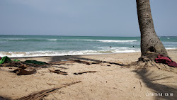 Zdjęcie Vattakottai Beach dziki obszar