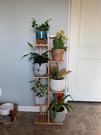 Florist «Janousek Florist Inc. & Greenhouses», reviews and photos, 4901 Charles St, Omaha, NE 68132, USA