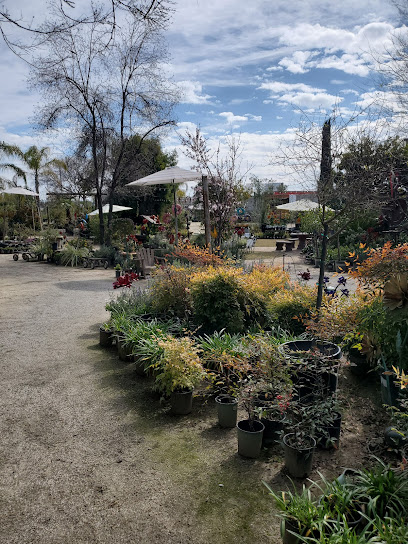 Robby's Nursery & Calico Gardens