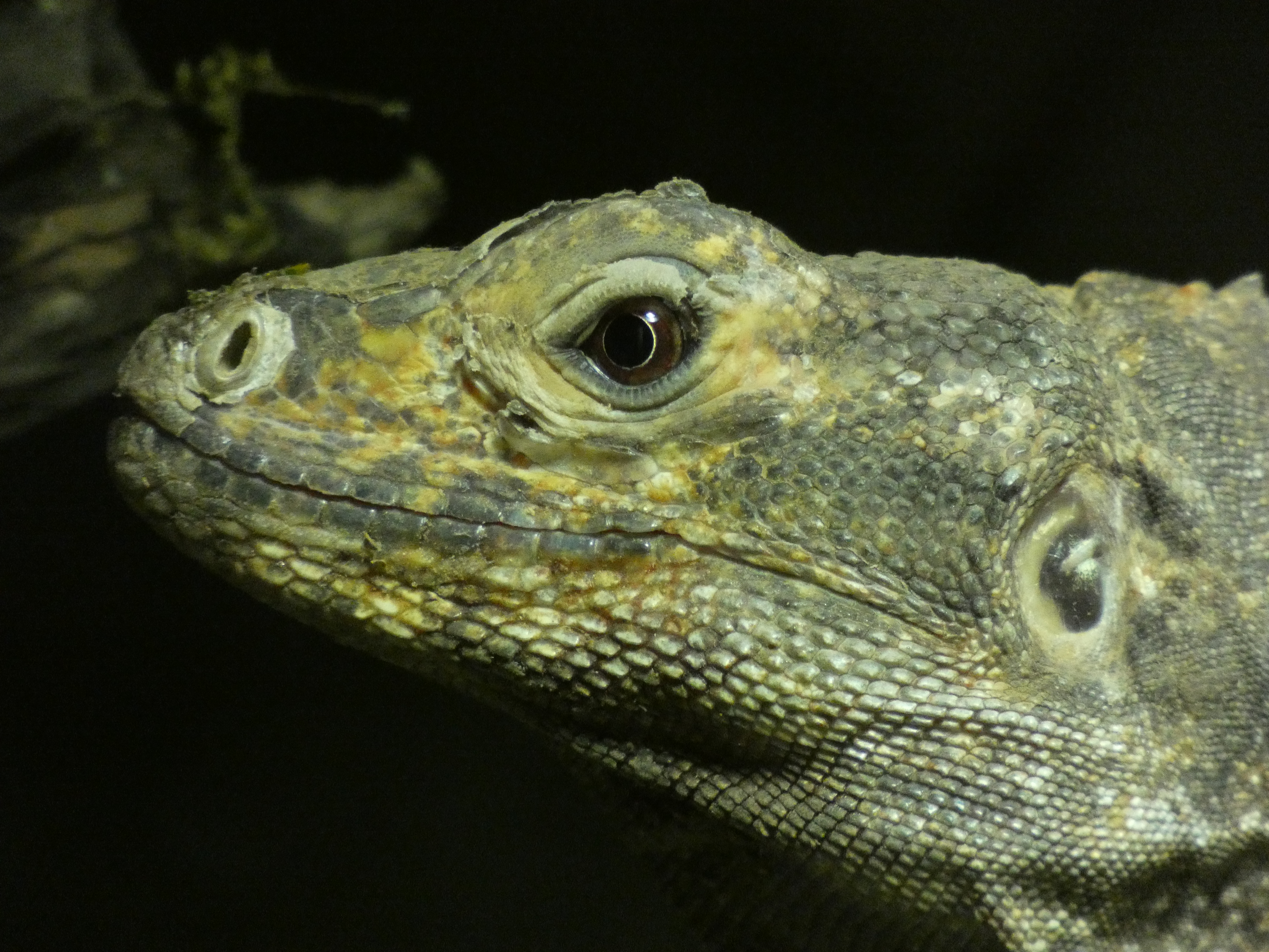 Photo n° 5 de l'avis de Matthieu.l fait le 06/06/2022 à 09:07