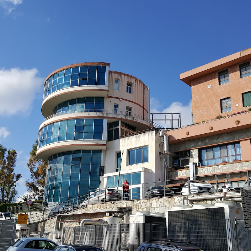 Centro Neurolesi Bonino Pulejo IRCCS Messina