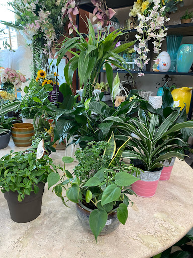 Florist «Sunset Florist», reviews and photos, 470 Bergen Blvd, Ridgefield, NJ 07657, USA