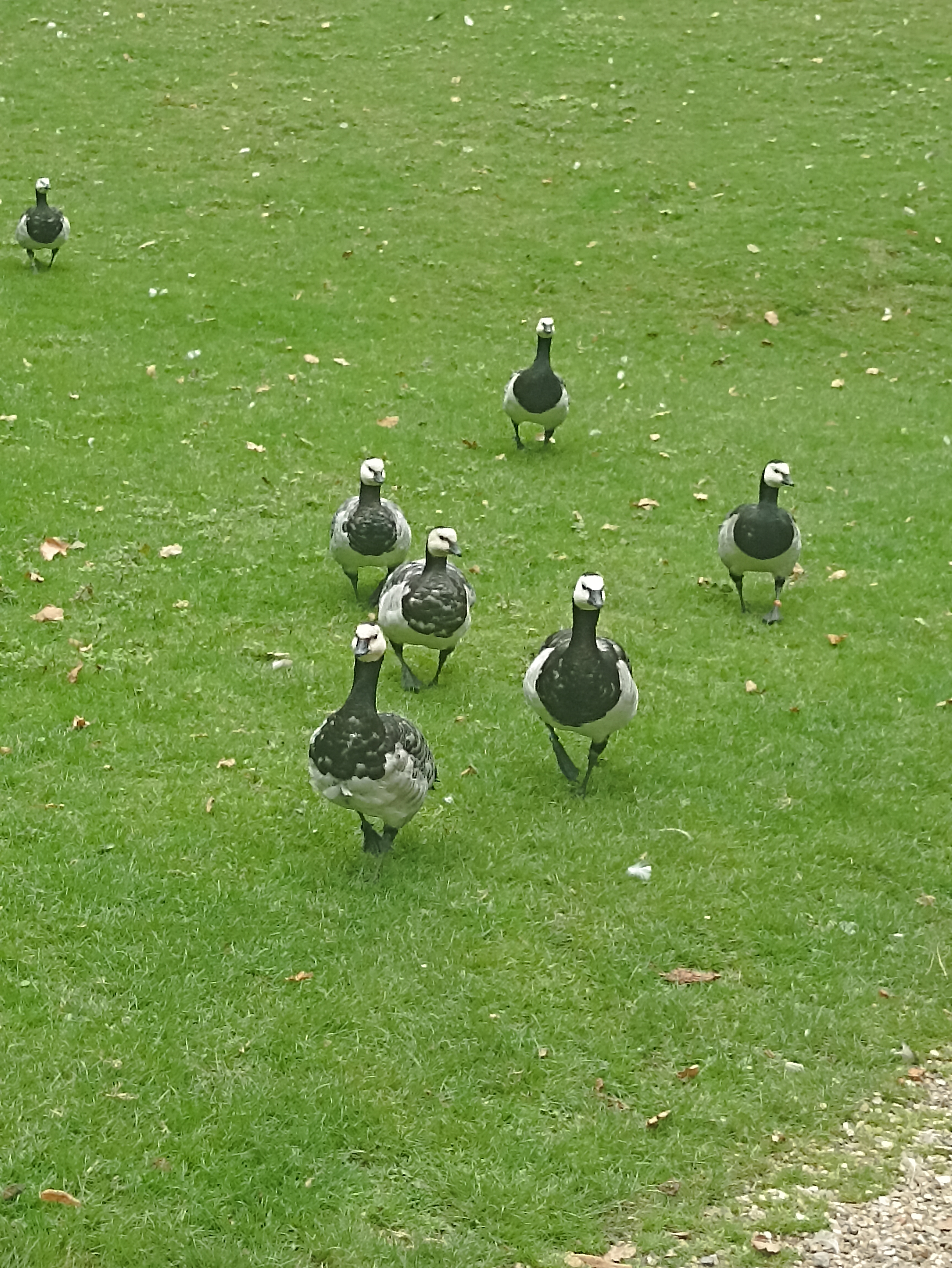 Photo n° 16 de l'avis de INGRID.. fait le 01/05/2023 à 21:03