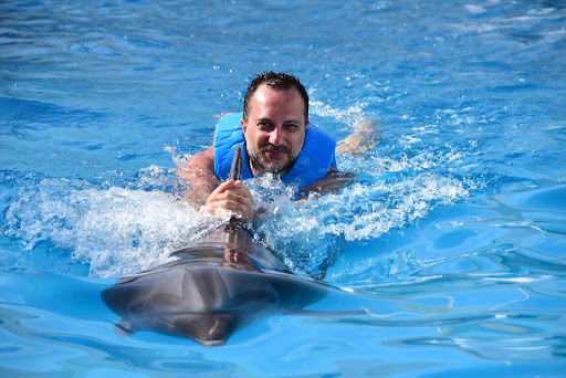 Tour Agency «Miami Swim With Dolphin Tours», reviews and photos, 247 SW 8th St, Miami, FL 33130, USA