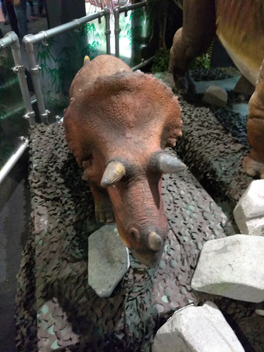 Science Museum «Adventure Science Center», reviews and photos, 800 Fort Negley Blvd, Nashville, TN 37203, USA