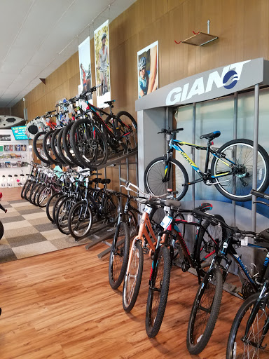 RV Dealer «Bonner Sports and RV», reviews and photos, 5335 PA-44, Jersey Shore, PA 17740, USA