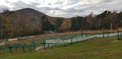 Winery «Sharp Mountain Vineyards», reviews and photos, 110 Rathgeb Trail, Jasper, GA 30143, USA