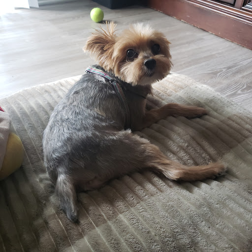 Pet Store «Back To Nature Pets & Grooming», reviews and photos, 110 N Dupont Hwy, New Castle, DE 19720, USA