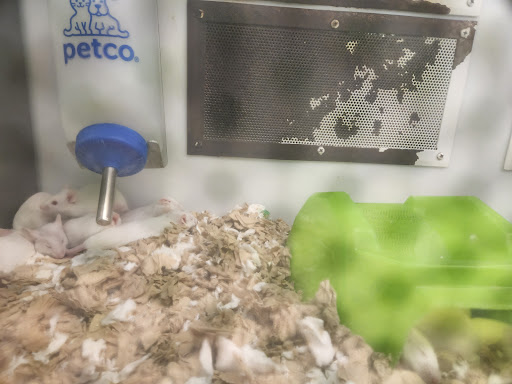 Pet Supply Store «Petco Animal Supplies», reviews and photos, 5925 US-6, Portage, IN 46368, USA