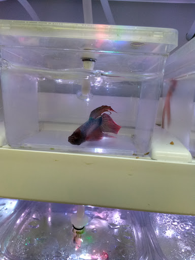 Sam Brothers Corporation