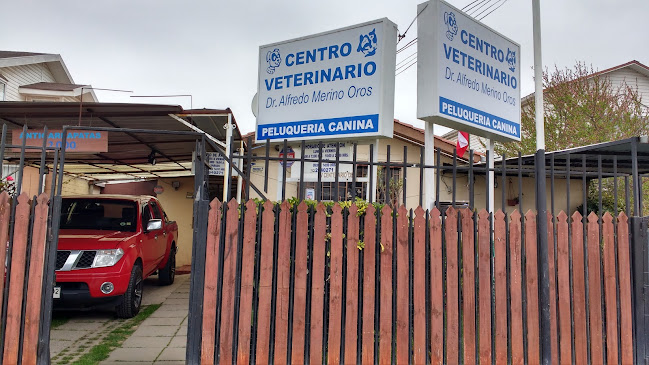 Opiniones de Centro Veterinario Alfredo Merino en Quilpué - Veterinario