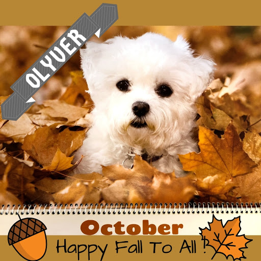 Office Supply Store «PENN OFFICE PRODUCTS», reviews and photos, 510 E Barnard St #24, West Chester, PA 19382, USA