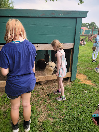 Tourist Attraction «Barn Hill Preserve», reviews and photos, 11370 LA-955, Ethel, LA 70730, USA