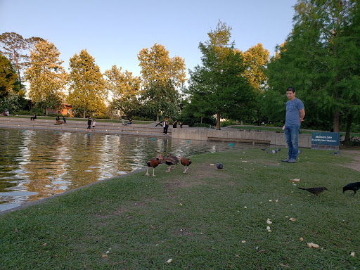 Performing Arts Theater «Miller Outdoor Theatre», reviews and photos, 6000 Hermann Park Dr, Houston, TX 77030, USA