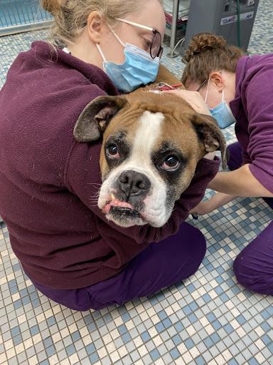 Northeastern Veterinary Care Center image