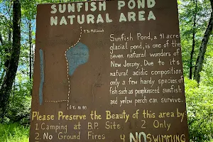 Sunfish Pond image