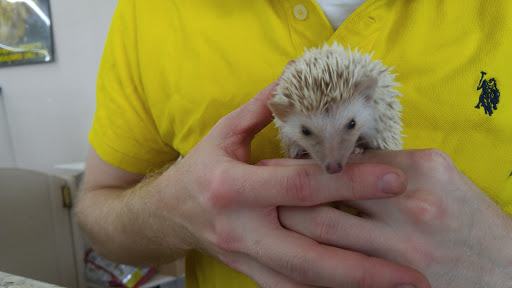 Pet Store «Pet Central», reviews and photos, 1200 Smallhouse Rd, Bowling Green, KY 42104, USA