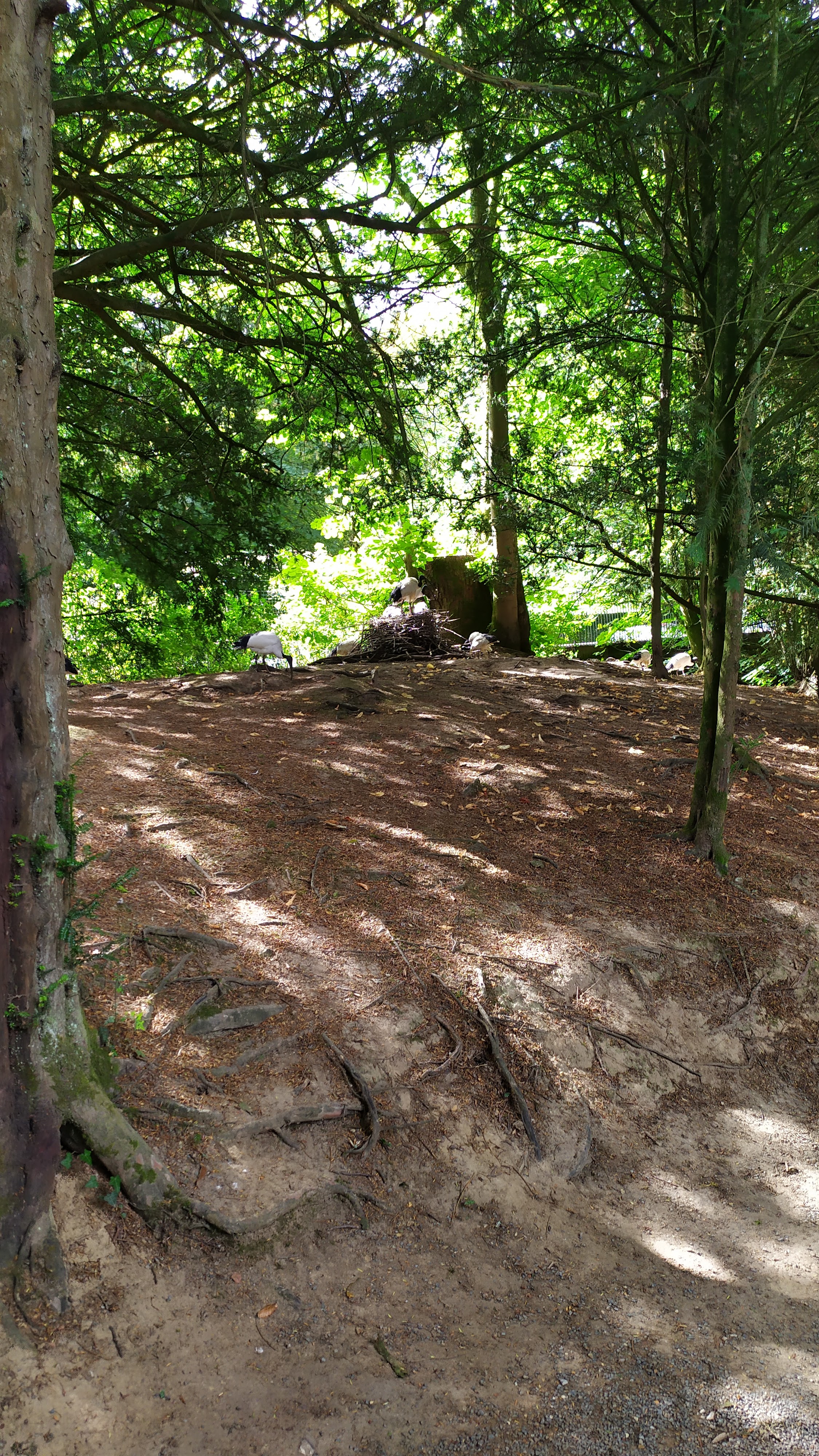 Photo n° 2 de l'avis de Stephanie.e fait le 03/08/2020 à 11:26