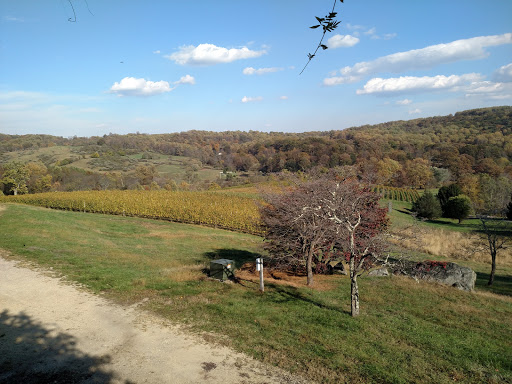 Vineyard «Linden Vineyards», reviews and photos, 3708 Harrels Corner Rd, Linden, VA 22642, USA