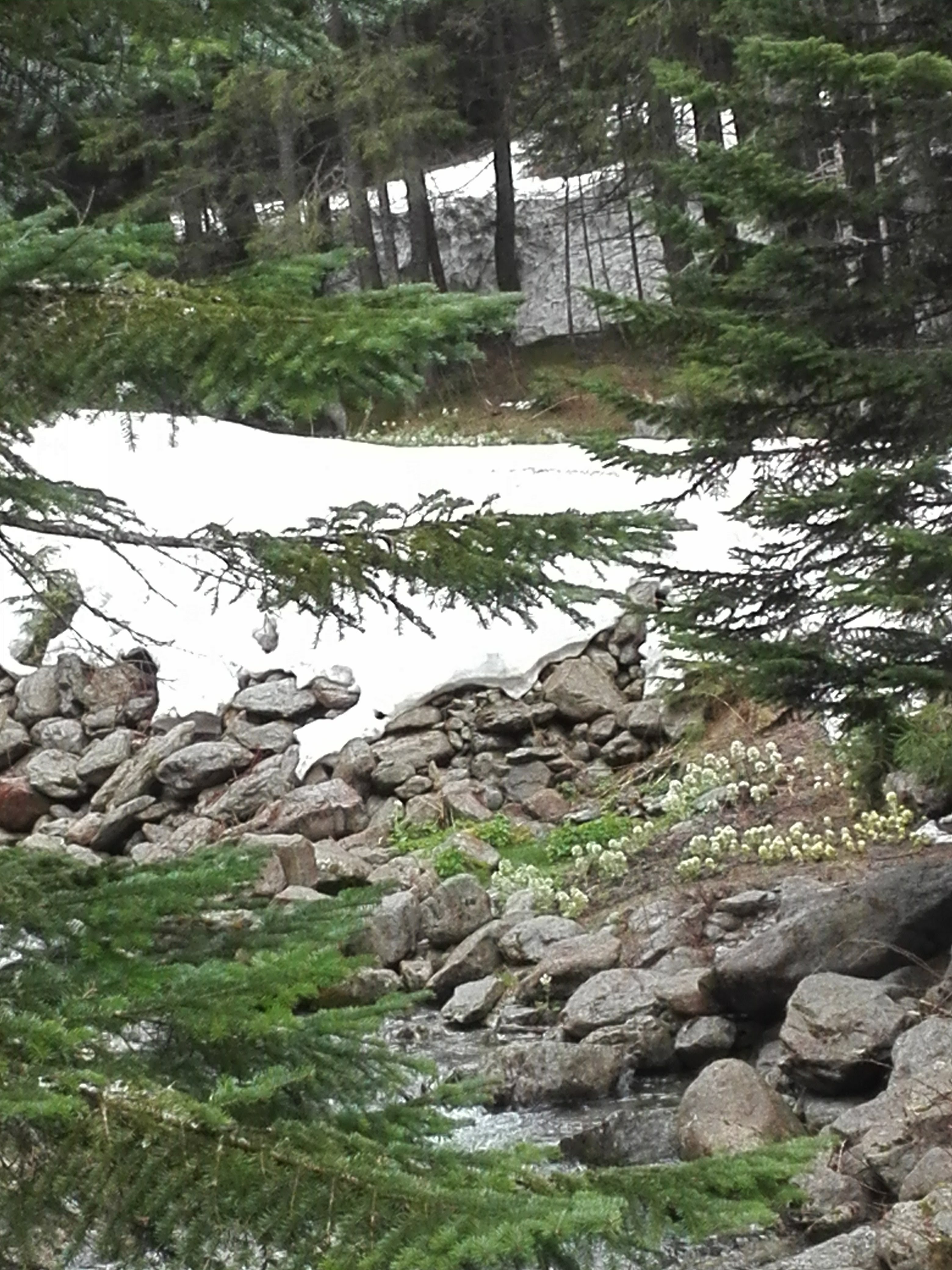 Photo n° 7 de l'avis de Victor.h fait le 01/05/2018 à 20:58