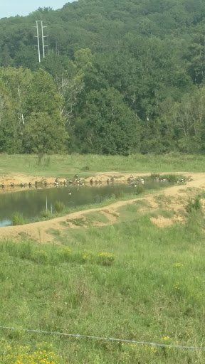 Country Club «Avalon Golf & Country Club», reviews and photos, 1299 Oak Chase Blvd, Lenoir City, TN 37772, USA