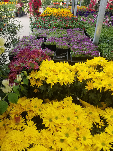 Home Improvement Store «The Home Depot», reviews and photos, 111 Shoreline Pkwy, San Rafael, CA 94901, USA