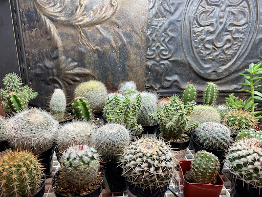 General Store «MOD GEN - A Modern General Store», reviews and photos, 211 N Broadway, Milwaukee, WI 53202, USA