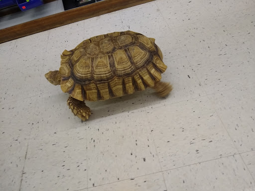 Pet Store «Pet World Warehouse Outlet», reviews and photos, 2148 W Beltline Hwy, Madison, WI 53713, USA